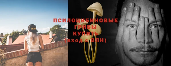 дурь Абинск