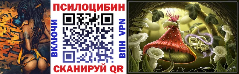Галлюциногенные грибы Psilocybe  Чегем 