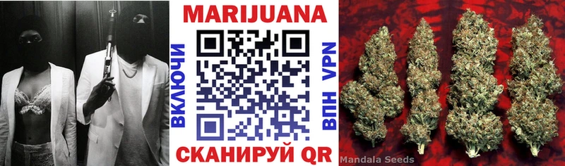 где можно купить наркотик  Чегем  blacksprut маркетплейс  Бошки марихуана план 